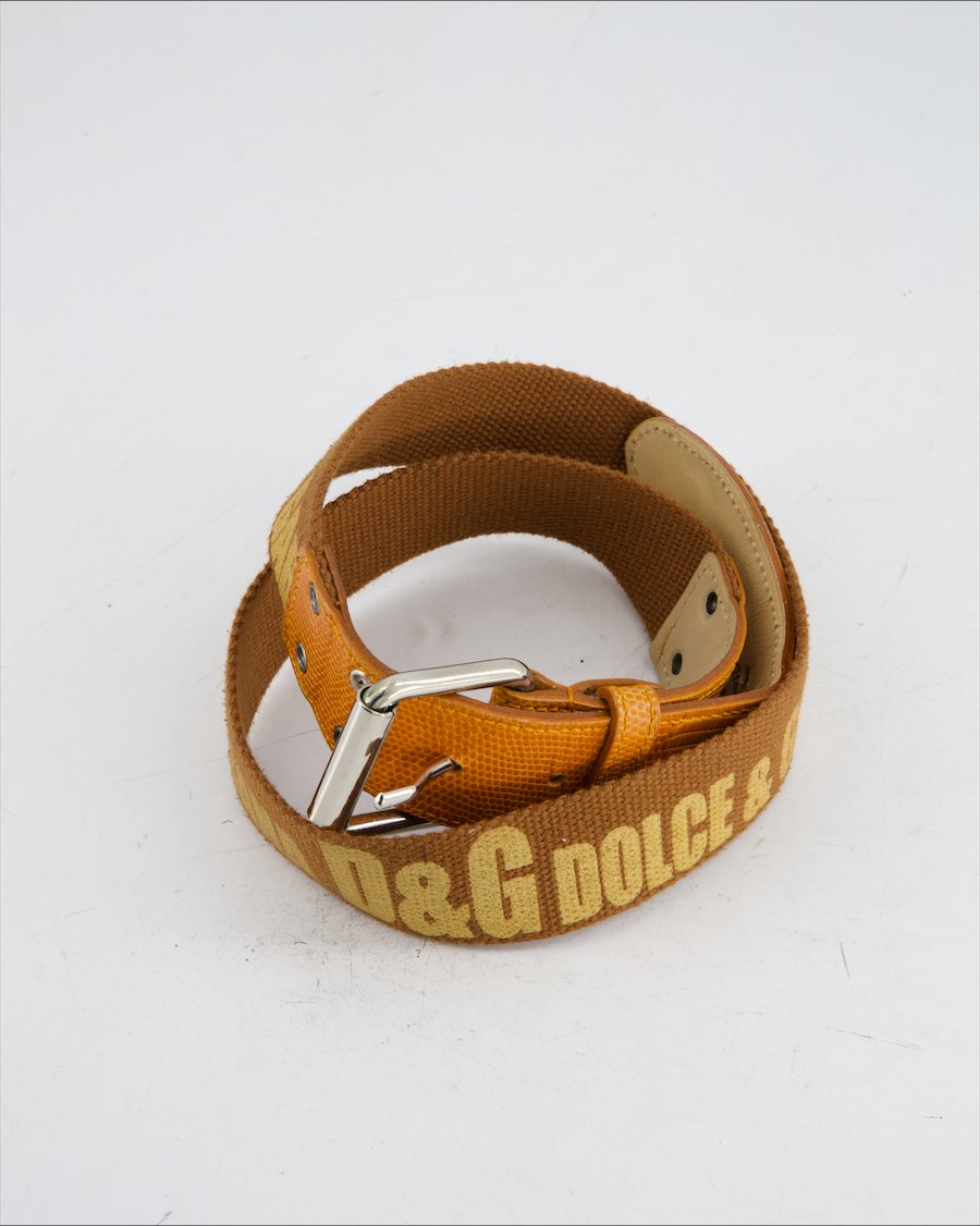 Dolce & Gabbana Belt Cloth Brown