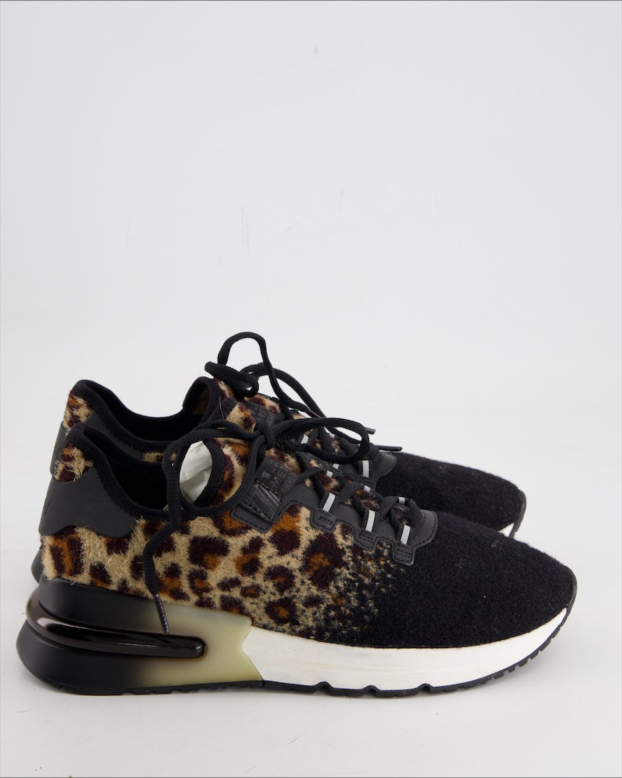 ASH Trainers Wool Black Eu 40