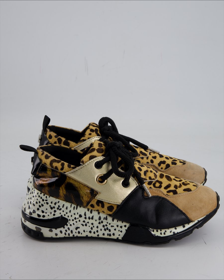 Steve Madden Trainers Leather Brown