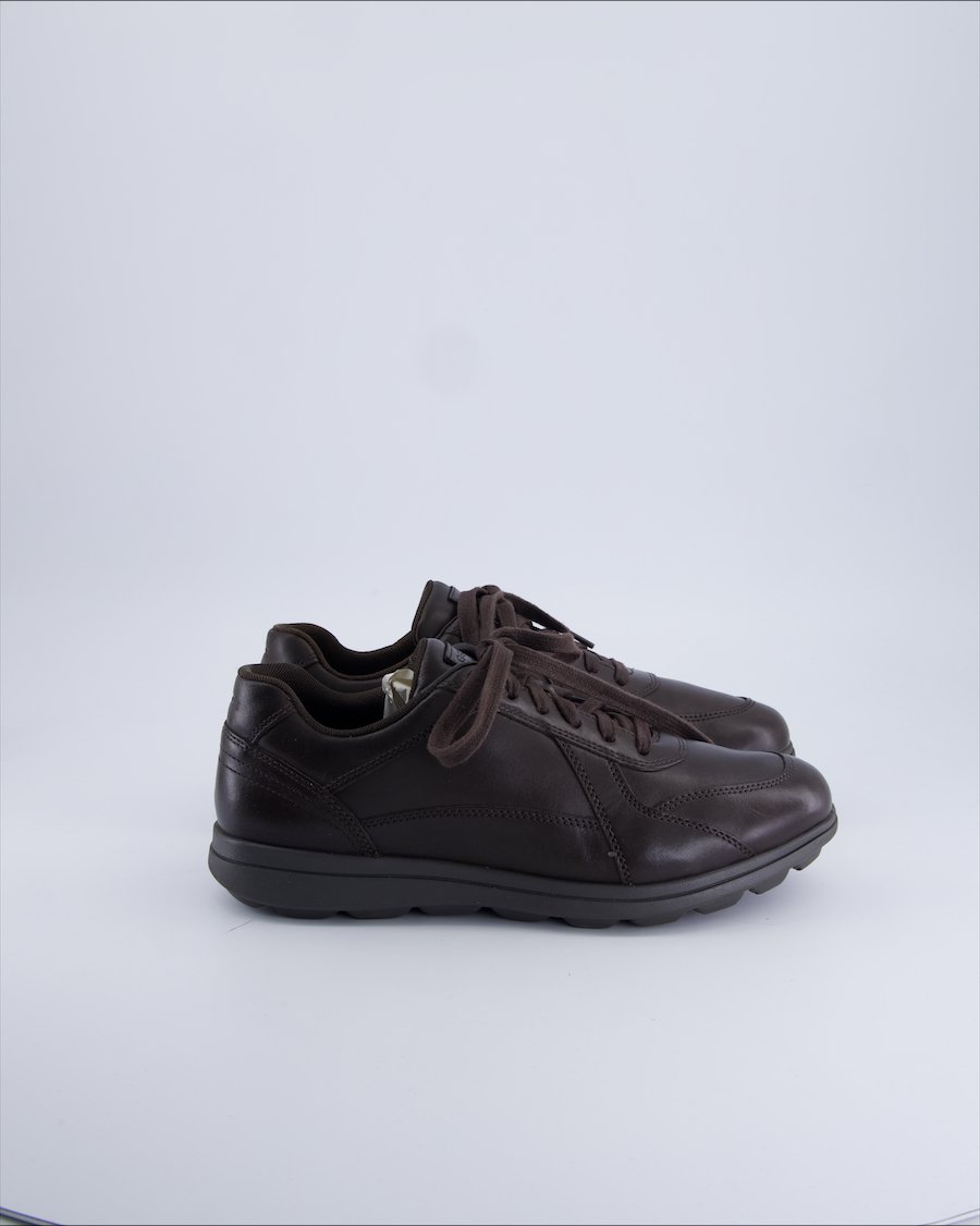 Geox Low trainers Leather Brown 43.5 EU